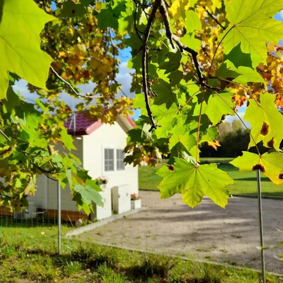 Osada Wilaneska Domki Mikolajki Mazury المظهر الخارجي الصورة