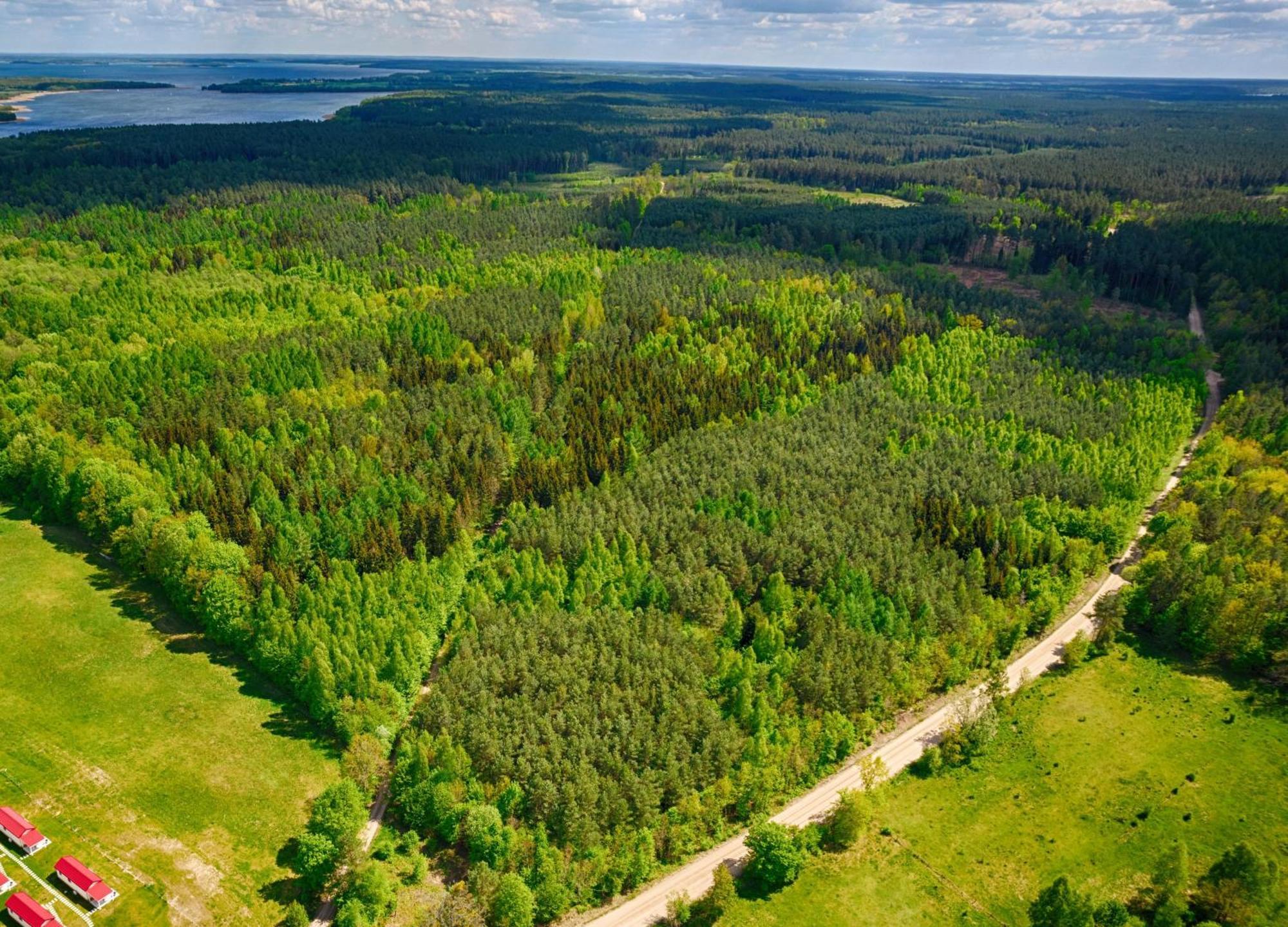 Osada Wilaneska Domki Mikolajki Mazury المظهر الخارجي الصورة